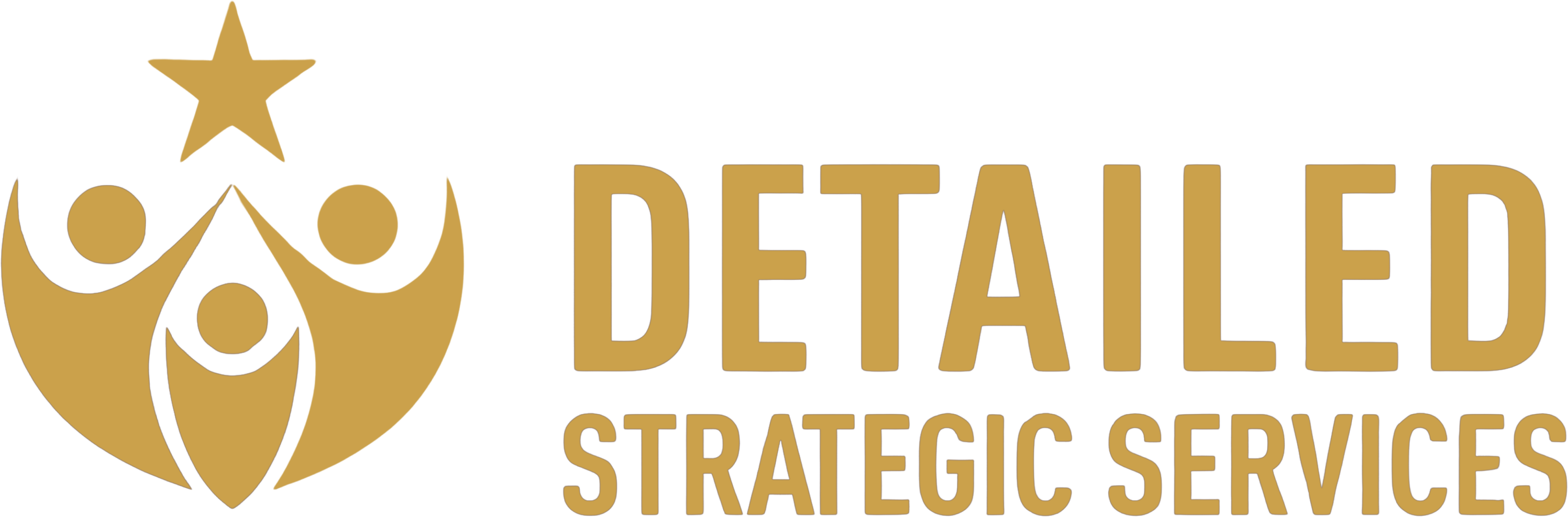 Detailed Strategic Services